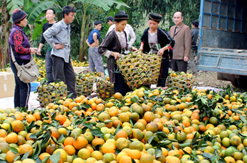 Tuyên Quang Tiếp tục gắn việc học tập và làm theo tấm gương đạo đức Hồ Chí Minh với thực hiện phong trào thi đua